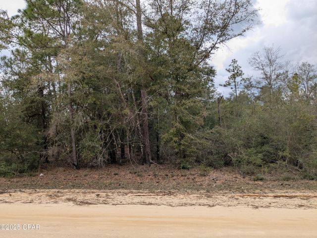 0 Starling Avenue, Marianna, FL 32448