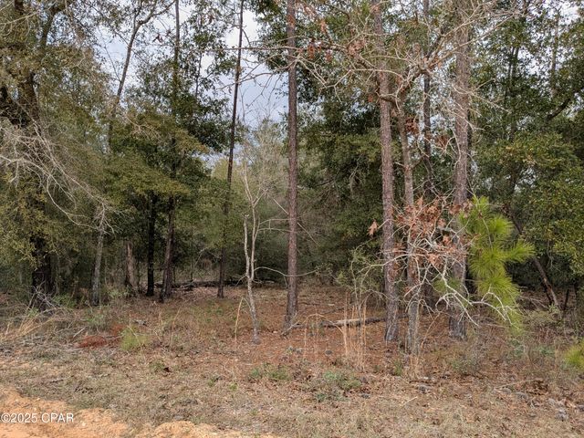 0 Starling Avenue, Marianna, FL 32448