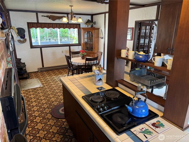 160 N Triton Head Drive, Lilliwaup, WA 98555