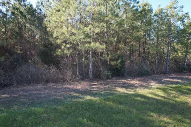 15991 Wood Grove Way, Willis, TX 77378