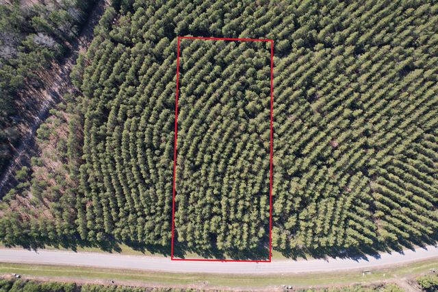 15991 Wood Grove Way, Willis, TX 77378