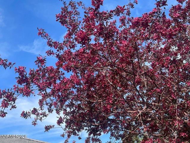 4301 Pinnacle Vista Court, Sparks, NV 89436