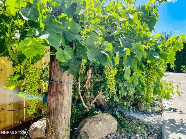 4301 Pinnacle Vista Court, Sparks, NV 89436