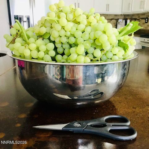 4301 Pinnacle Vista Court, Sparks, NV 89436