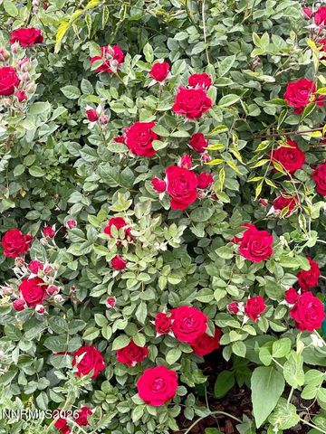 4301 Pinnacle Vista Court, Sparks, NV 89436