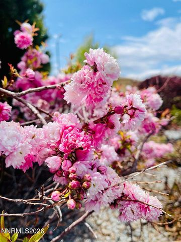 4301 Pinnacle Vista Court, Sparks, NV 89436