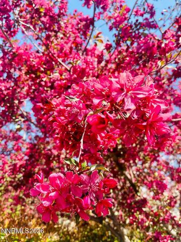 4301 Pinnacle Vista Court, Sparks, NV 89436