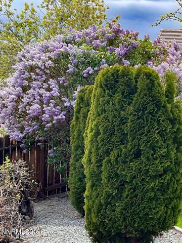 4301 Pinnacle Vista Court, Sparks, NV 89436