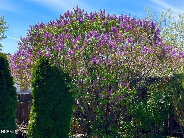 4301 Pinnacle Vista Court, Sparks, NV 89436