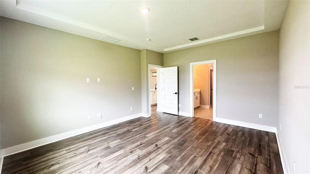 3619 SAVANNA PALMS COURT, Bradenton, FL 34211