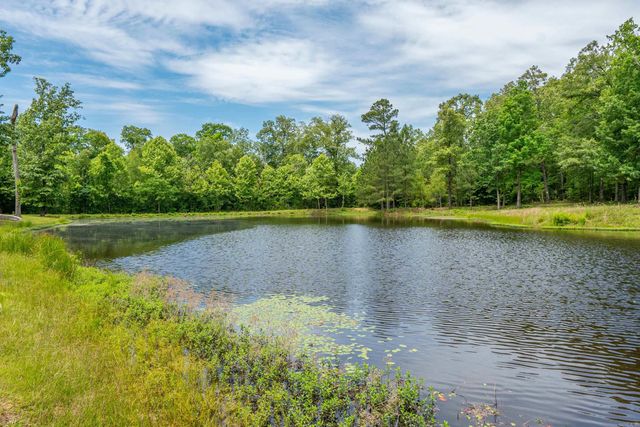 43 Tracelwood Drive, Arkadelphia, AR 71923