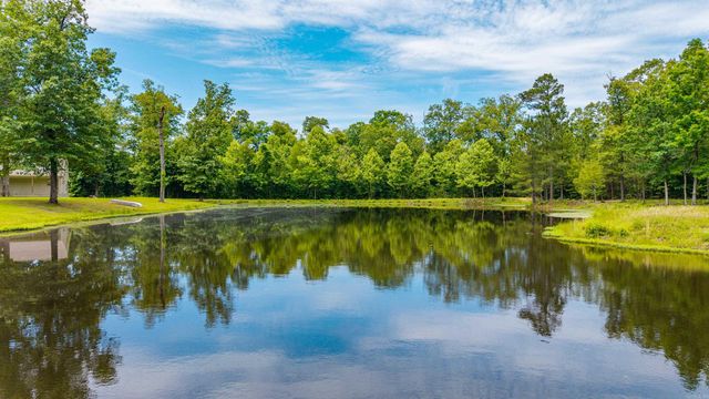 43 Tracelwood Drive, Arkadelphia, AR 71923