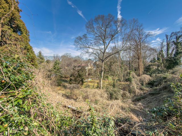 351 Pine Forest Drive Extension, Greenville, SC 29601