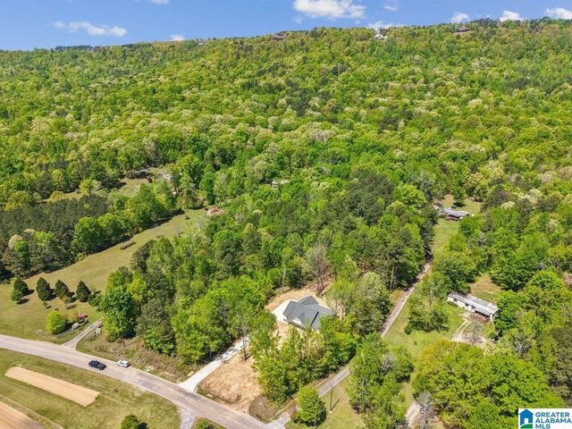2775 CRAWFORD COVE ROAD, Springville, AL 35146