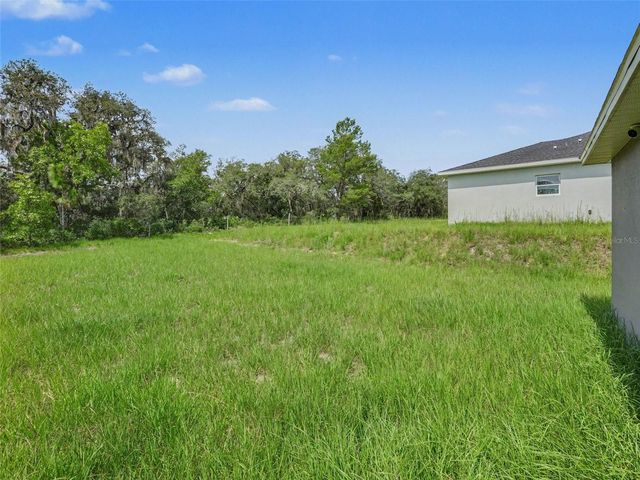 305 BOWFIN DRIVE, Kissimmee, FL 34759