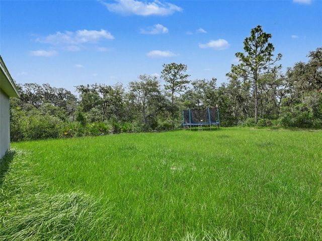 305 BOWFIN DRIVE, Kissimmee, FL 34759