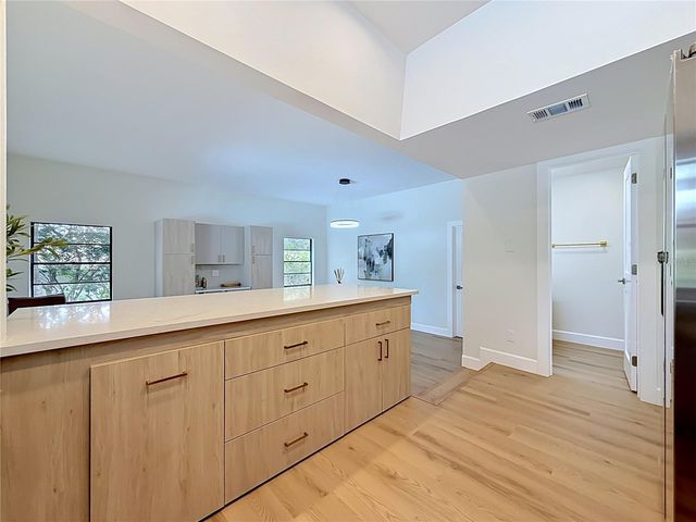 3 OCTAVIA WAY, Safety Harbor, FL 34695