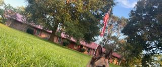 150 County Road 2296, Cleveland, TX 77327