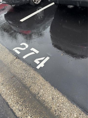 274 CYPRESS LANE, Oldsmar, FL 34677