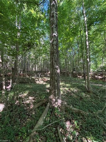 0 Partridge Drive, Lexington, NC 27292
