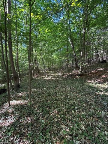 0 Partridge Drive, Lexington, NC 27292