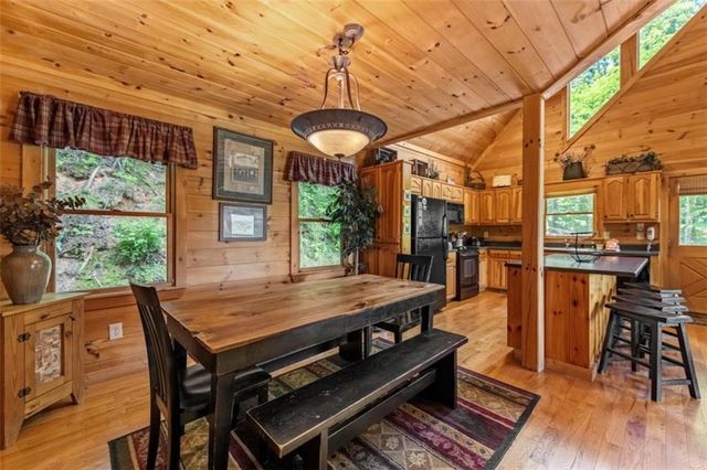 469 Mountain High Drive, Mineral Bluff, GA 30559