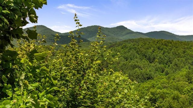 469 Mountain High Drive, Mineral Bluff, GA 30559