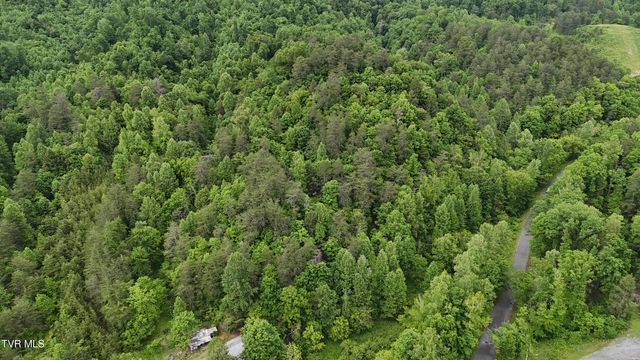 289 Early Branch Road, Rogersville, TN 37857
