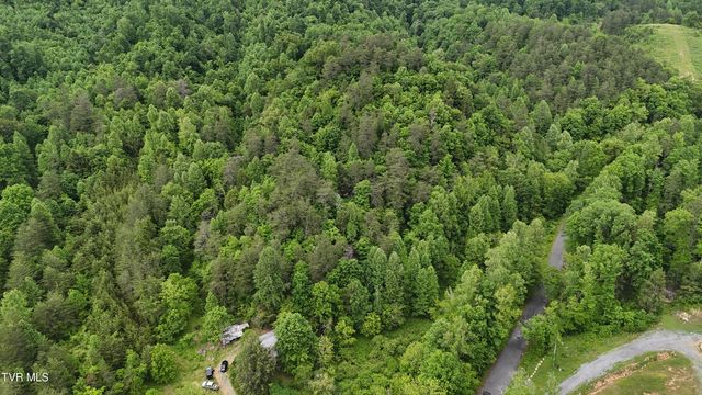 289 Early Branch Road, Rogersville, TN 37857