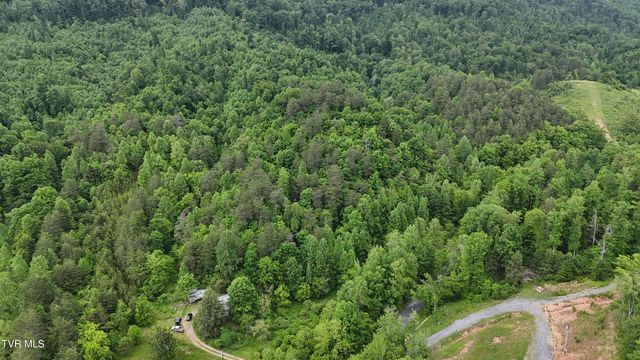 289 Early Branch Road, Rogersville, TN 37857