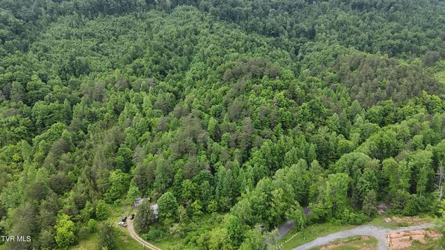 289 Early Branch Road, Rogersville, TN 37857