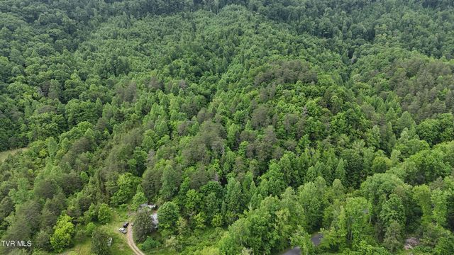 289 Early Branch Road, Rogersville, TN 37857