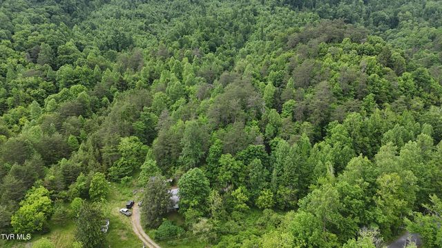 289 Early Branch Road, Rogersville, TN 37857