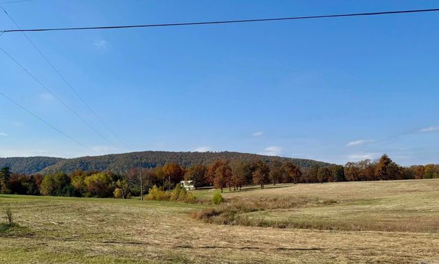 318 S Riggsville, Mountain View, AR 72560