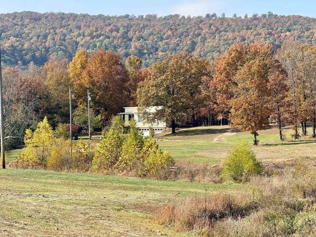 318 S Riggsville, Mountain View, AR 72560