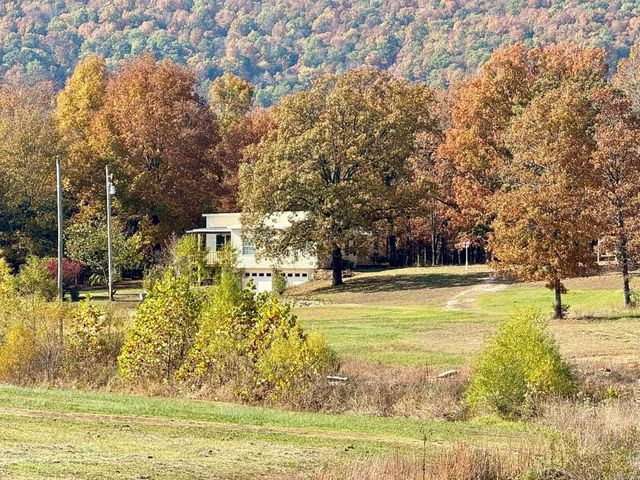 318 S Riggsville, Mountain View, AR 72560