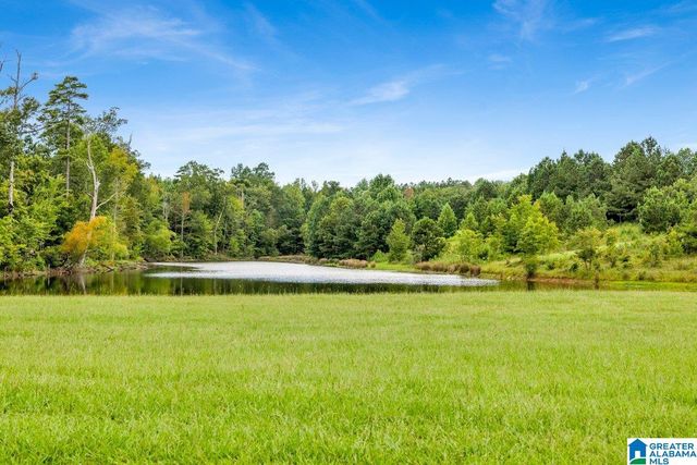 95 VILLAGE SPRINGS COVE, Springville, AL 35146