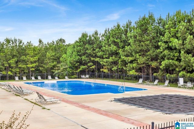 95 VILLAGE SPRINGS COVE, Springville, AL 35146