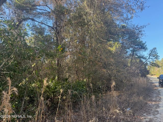 ZZZ NETTLES Drive, Florahome, FL 32140