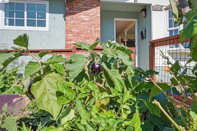 2815 Canterbury Dr,, Richmond, CA 94806