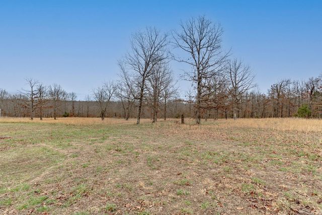 171 Dry Bone Rd, Ash Flat, AR 72513