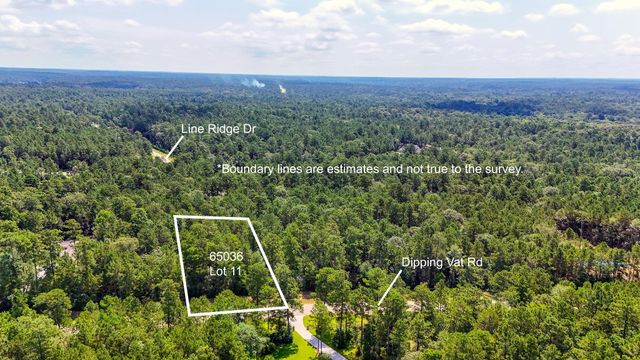 1.52 acres Dipping Vat Road, Huntsville, TX 77340