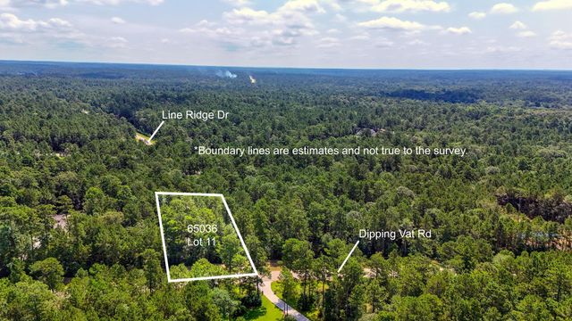 1.52 acres Dipping Vat Road, Huntsville, TX 77340