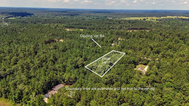 1.52 acres Dipping Vat Road, Huntsville, TX 77340
