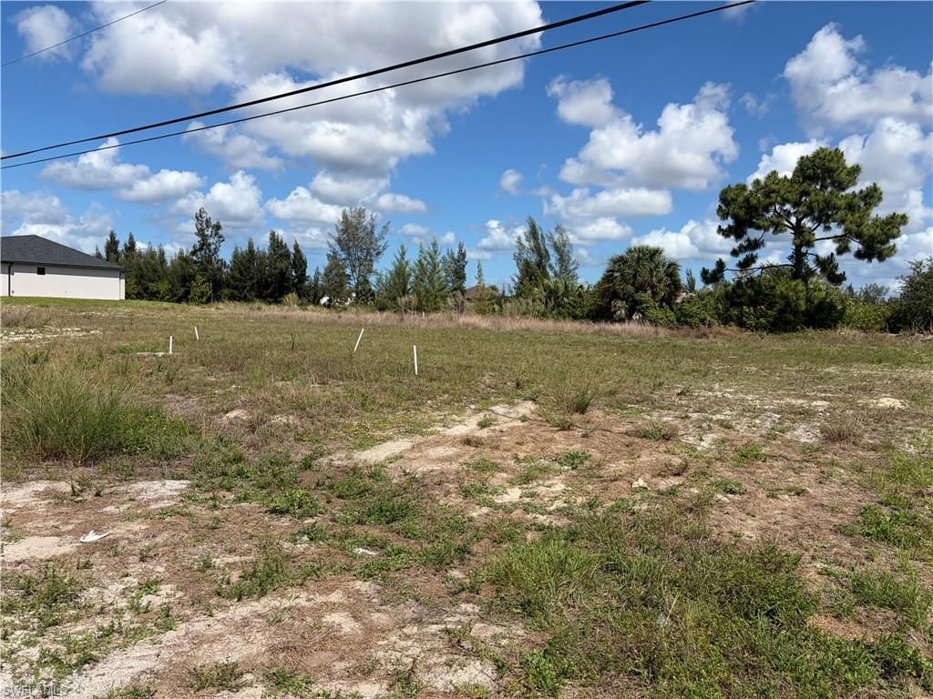 2011 NW 17th ST, CAPE CORAL, FL 33993 — photo 3
