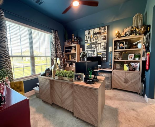 312 Bestowal Lane, Mclendon Chisholm, TX 75032