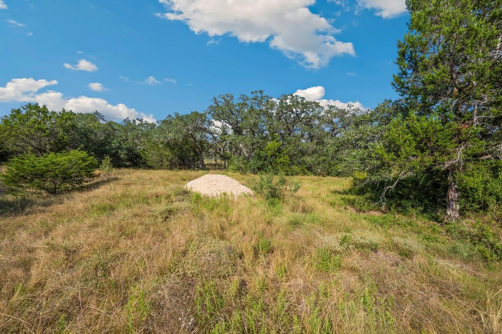 1732 Herbelin RD, New Braunfels, TX 78132