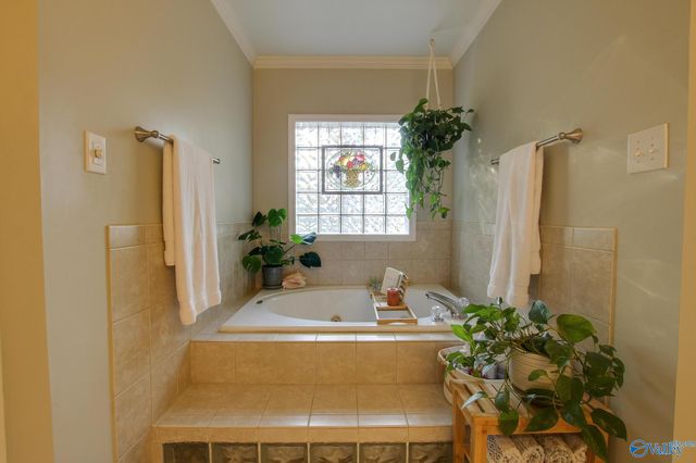 3303 Cedar Cove, Decatur, AL 35603