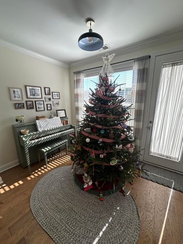 224 Killdeer Court, Mount Pleasant, SC 29464