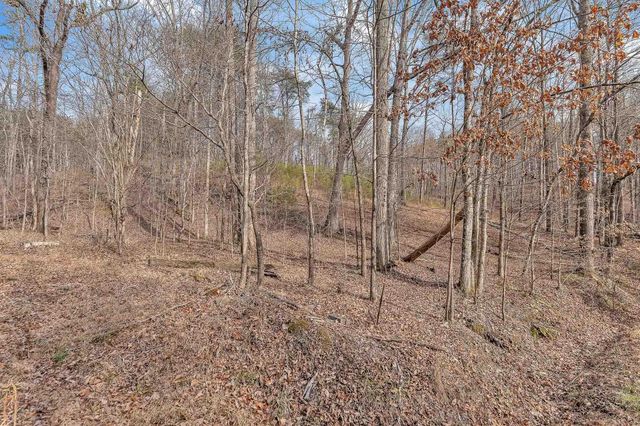 190 Firetower Road, Mc Donald, TN 37353